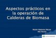Aspectos prácticos en la operación de Calderas de Biomasa · Planta de Energía de Puerto Esperanza Caldera –70 - 90 Tn/h con biomasa –100 – 120 Tn/h con biomasa + fuel oil