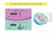 IL DESTINO DELLE PROTEINE - UniFI€¦ · Il reticolo endoplasmatico (ER) E’un insieme di membrane all’internodel citoplasma in cui si ritrovano vari tipi di strutture come tubuli,