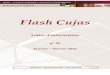 Flash Cujasbiu-cujas.univ-paris1.fr/sites/default/files/documents/flash55_0.pdf · « Paru en 2009 sous le titre : "Le Web 2.0 en bibliothèques : quels services ? quels usages ?"