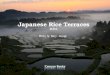 Japanese Rice Terracesphoto.campur.com/images/campur/ebooks/jp_rice_01/Campur...Japanese Rice Terraces 簡易版 写真 青柳健二 2010/12/24 Cam ur Books Cam ur Boo Created Date