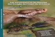 Les Amphibiens et les Reptiles des bocages de l’ouest de la … · 2016-06-21 · Les Amphibiens et les Reptiles des bocages de l’ouest de la France. Auteurs : Alexandre Boissinot,
