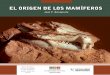 EL ORIGEN DE LOS MAMíFEROS - Fundación Azara · PDF file mamíferos” a lo largo de los 45 m.a. del Triá-sico, restarían varios millones de años aún para manifestarse el notable