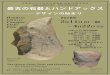 最古の⽯器とハンドアックス - 兵庫県立 人と自然の博物館 ... · 2018-01-16 · 基づく人類進化の研究に従事。ラミダス猿人の発 見と発表、コンソの古人類と旧石器の研究、チョ