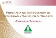 ROGRAMA DE AUTOGESTIÓN EN EGURIDAD Y SALUD EN EL TRABAJOautogestionsst.stps.gob.mx/Proyecto/Content/doctos... · Programa de Autogestión en Seguridad y Salud en el Trabajo, PASST