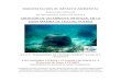 MANIFESTACION DE IMPACTO AMBIENTALsinat.semarnat.gob.mx/dgiraDocs/documentos/yuc/e... · creaciÓn de un arrecife artificial en la zona marina de telchac puerto . s.c.p.p “pescadores
