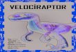 VELOCIRAPTOR · 2018-02-10 · VELOCIRAPTOR. Boy: 1,5-2 m Yükseklik: 1 m Ağırlık: 10-20 kg Dönemi: Geç Kreatese (80-85 milyon yıl önce) Besin: Etobur
