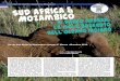 Sud Africa & Mozambico Il parco Kruger, le isole Bazaruto … · 2016-10-13 · Vilankulo, durante la quale becchiamo, uno dopo l’altro con cambi improvvisi, sole ustionante, diluvio