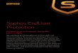 Sophos EndUser Protection - Rau Systemberatung GmbH · 2013-06-10 · Sophos EndUser Protection Hauptvorteile Ì Schützt alle Geräte – Sicherung, Verwaltung und Schutz von Benutzern