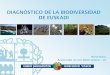 DIAGNÓSTICO DE LA BIODIVERSIDAD DE EUSKADI · 2016-10-17 · ingurumena.eus Estamos asistiendo a la sexta gran extinción planetaria estimada en 30.000 especies/año SITUACIÓN MUNDIAL