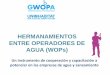 HERMANAMIENTOS ENTRE OPERADORES DE AGUA (WOPs) · 2017-07-19 · •Fomentar el uso eficaz de partenariados sin ánimo de lucro entre los operadores de agua y saneamiento •Fomentar,