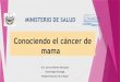 Conociendo el cáncer de mama - MINSAL · Conociendo el cáncer de mama Dra. Aurora Noemy Velasquez ... USG CAAF CORE BIOPSIA BIOPSIA DIRIGIDA BIOPSIA ABIERTA IMAGENES HISTORIA–