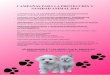 CAMPAÑAS PARA LA PROTECCIÓN Y SANIDAD ANIMAL 2019 · campaÑas para la protecciÓn y sanidad animal 2019 • campaÑa anual de castraciÓn y esterilizaciÓn de gatos. duración: