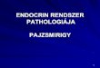ENDOCRIN RENDSZER PATHOLOGIÁJA PAJZSMIRIGYusers.atw.hu/aokszote/download.php?fname=./02... · atrophiás variáns: kifejezettebb fibrosis kevesebb gyulladás, a mirigy gyakran kisebb