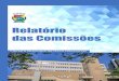 Relatório das Comissões · 2017-12-06 · 2ª quadrimestre 06/12 - Apresentação do Relatório das Comissões em sessão plenária 09/11 - Seminário debate caminhos de acesso
