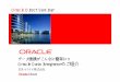 OracleDirect Seminar · SAP/R3 Siebel Log Miner DB2 Journals SQL Server Triggers Oracle DBLink DB2 Exp/Imp JMS Queues Check MS Excel Check Sybase Oracle SQL*Loader TPump/ Multiload