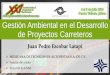 Gestión Ambiental en el Desarrollo de Proyectos Carreteros€¦ · Gestión Ambiental de Proyectos Carreteros •La MIA es la herramienta central para la Gestión •En ella se estudia