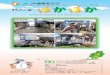 JA 2018 2カナダ・アメリカ海外視察報告 連載①カナダの繋ぎ牛舎用搾乳ロボット編 2 第8回 「働き方改革」に向けて酪農分野での カナダのケベック州にある