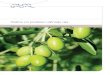 Rešitve pri predelavi oljčnega olja · Boljša kakovost olja Z izbiro tehnologije in strokovnega znanja podjetja Alfa Laval iz svojih oliv dobite najboljšo kakovost olja, ne glede