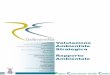 invio 15 10 Rapporto ambientale PCC Manfredonia AMBIENTALE/… · Comune di Manfredonia ‐ Piano Comunale delle Coste Valutazione Ambientale Strategica – Rapporto ambientale 6