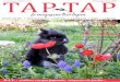 Un lapin angora bien dans ses poils Alimentationladureviedulapinurbain.com/magazine/TAPTAP_PE_2016_BD.pdf · simuler un acte sexuel sur des peluches, des coussins ou à grimper sur
