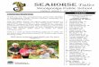 Seahorse Tales 2019-10-11آ  Seahorse Tales Woolgoolga Public School TERM 4 ISSUE 7 21st November 2013