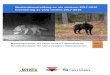 Bestandsovervåking av ulv vinteren 2017-2018 Inventering ... region 4... · Norge. Etter fordeling av de totalt 10 grenserevirene med halvparten til hvert land ble det påvist i