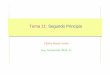 Tema 11: Segundo Principio - Universidad de SevillaGITI)_Fatima/Apuntes/10-11/termo4.pdf · 2012-09-24 · Tema 11: Segundo Principio 4/40 El Primer Principio es simétrico, pero