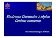 Síndrome Dermatite Atópica Canina: consenso.bichosonline.vet.br/wp-content/uploads/2014/08/Sindrome_Dermatite... · Síndrome Dermatite Atópica Canina: consenso. Prof. Marconi