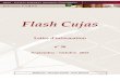 Flash Cujasbiu-cujas.univ-paris1.fr/sites/default/files/documents/flash58.pdf · Transition bibliographique De RDA en France à la Transition bibliographique La France a décidé