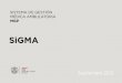 Secretaria de Salud MGP Batán Mar del Plata 2013-09 JAIIO RC2.pdf · Proyecto SiGMA: Sistema de Información Hospitalaria El uso de una Sistema de Información Hospitalaria (HIS)