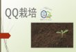 QQ栽培QQ栽培とは、 Q.Qテクノロジーを用いた栽培方法です。 土壌、植物を本来の健全な状態に戻し、薬を一切使わず 自然の力を蘇らせる真の無農薬・無化学栽培です。QQ栽培による農産物は質・収穫量とも驚異的な成果と