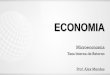 ECONOMIA - Amazon Web Services...ECONOMIA Taxa Interna de Retorno Conceitos e princípios da análise de investimento: A primeira questão que surge ao se analisar um investimento