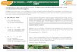 Grünland- und Feldsaatenmischungen E 2020...Saatzeit: März - September Entdecken Sie unsere neuen, leistungsstarken Grünland- und Feldsaatenmischungen. Eine gesunde Grasnarbe, eine
