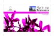 concurso florir - Câmara Municipal de Aveiro · 2007-03-22 · Title: concurso florir Created Date: 3/7/2007 2:16:50 PM