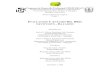 EVALUACIÓN Y ANÁLISIS DEL BRT: LEVITTOWN BAYAMÓN - Recinto Universitario de …academic2.uprm.edu/uprati/interns/group_2/prog_report/... · 2006-03-27 · Programa de Desarrollo