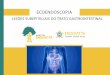 ECOENDOSCOPIA - Instituto EndoVittainstitutoendovitta.com.br/wp-content/uploads/2019/06/Ecoendo-02... · aneurismas, tumores hepáticos, tumores pancreáticos, im- ... A nomenclatura