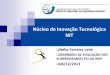 Núcleo de Inovação Tecnológica NIT - INPEppci/welcome_arquivos/Nelia F... · NIT/INPE - Legislação INPE-RE/DIR-546 de 28/06/2007 - Núcleo de Inovação Tecnológica do INPE