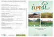 convite armindo ilpf Mar 2011 - Alcance Rural · Eucalipto espaçado de 3 linhas (3 x 2 m) e vão de 9 m = 1.000 arv/ha com Estilosantes Eucalipto espaçado de 3 linhas (3 x 2 m)