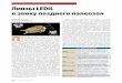 ˆ˙ˇ ˚˛˝ ˆ˜ˇ ˆ Линзы LEDiL в эпоху позднего палеозоя18).pdf«страшноголовые» рептилии, по об-разу жизни больше