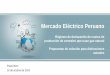 Mercado Eléctrico Peruano - diadelaenergia.com€¦ · Ley de Concesiones Eléctricas Perú, al igual que muchos otros países adopta un nuevo modelo de regulación para el Sector