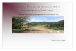 “Exploración Minera del Proyecto El Tulesinat.semarnat.gob.mx/dgiraDocs/documentos/jal/estudios/... · 2014-02-13 · Informe Preventivo de acuerdo a la NOM-120-SEMARNAT-1997 Yacimiento