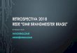 RETROSPECTIVA 2018 REDE “DMR BRANDMEISTER BRASIL”€¦ · RETROSPECTIVA 2018 REDE “DMR BRANDMEISTER BRASIL ... existem outras modalidades com seu grande espaço e uso em nosso