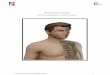 Manual de Anatomia e Fisiologia cefad/NIVEIS DE ORGANIZAÇÃO DO... · 2018-05-31 · Manual de Anatomia e Fisiologia CEFAD 3 INTRODUÇÃO O programa de estudos do CEFAD está delineado