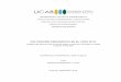 POLITIZACIÓN PERIODÍSTICA EN EL CASO RCTVbiblioteca2.ucab.edu.ve/anexos/biblioteca/marc/texto/AAS... · 2016-03-07 · Composición de la muestra de los artículos pertenecientes