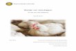 -Quick Scan- · 1 Welzijn van vleeskippen En de rol van fokkerij -Quick Scan- Mei 2018 Centre for Sustainable Animal Stewardship Departement Dier in Wetenschap & Maatschappij