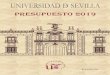 PRESUPUESTO 2019 - Universidad de Sevillaservicio.us.es/gesteco/presupuesto-cuenta/presupuesto-2019/presup… · 1. memoria 7 2. normas de ejecuciÓn del presupuesto 37 3. presupuesto