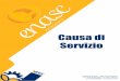 Causa di Servizio - Patronato ENASC...2017/11/14  · Causa di Servizio L'art. 6 del Decreto Legge 201/2011 (decreto Salva Italia) ha abrogato gli istituti dell'accertamento della