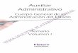 Auxiliar Administrativo - Platero Editorial...Tema 6: El Gobierno Abierto. Concepto y principios informadores: colaboración, participación, transparencia y rendición de cuentas