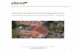 ESTUDO DE IMPACTO DE VIZINHANÇA-EIVeiv.campinas.sp.gov.br/sites/eiv.campinas.sp.gov.br/files/2020-03/EI… · estudo de impacto de vizinhanÇa-eiv Empreendimento Habitacional de