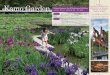 Original Japanese Iris & Hydrangeas Exhibitionkamoltd.co.jp/kamosou_cn/wp-content/themes/bizvektor...2017/07/02  · 《火凤凰》불새 미명의 최신 품종도 보실 수 있습니다可供观赏没命名的最新品种